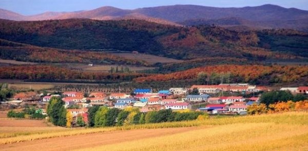 2020年双鸭山市各区人口数量排行榜 历年双鸭山市人口数量排行榜