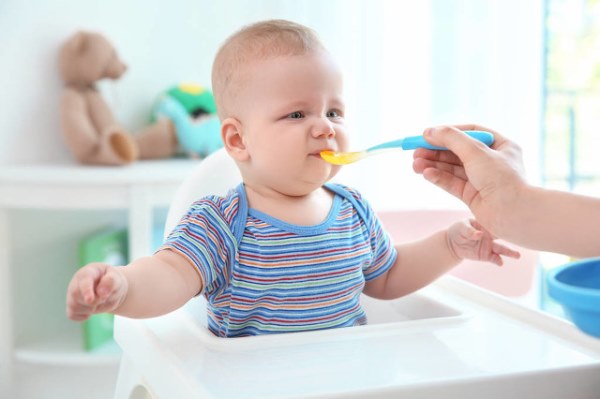 婴幼儿紫薯粥的做法