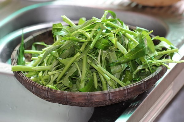 空心菜如何烹饪不会变黑