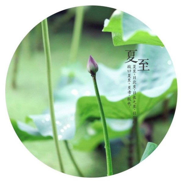 身体上各个脏器如何养生