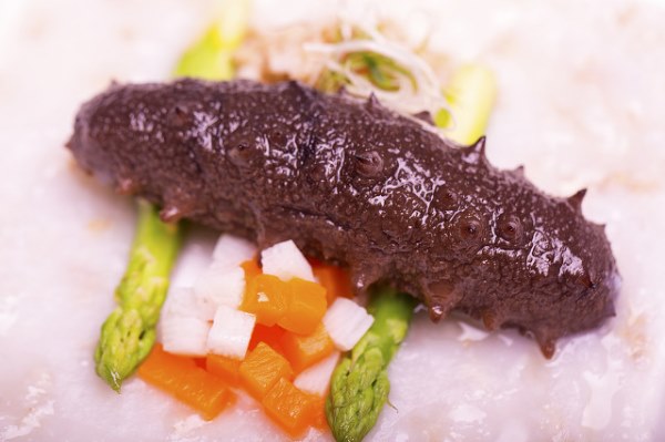 海参有哪些食用方法