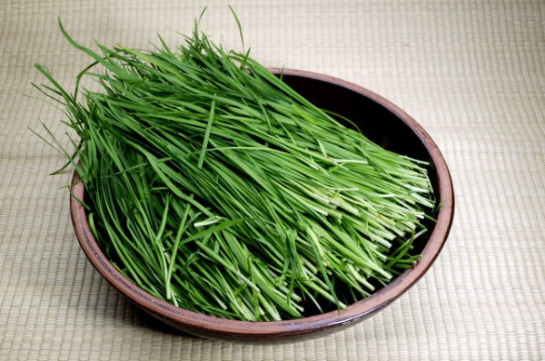 韭菜不适宜和哪些食物搭配食用