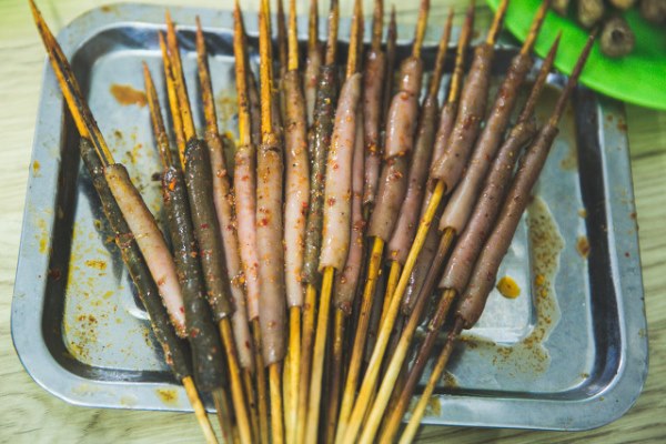 食用海肠子对身体的好处有哪些