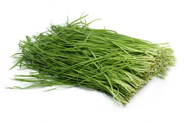 吃韭菜有哪些功效和作用 小小韭菜用处竟这么大!