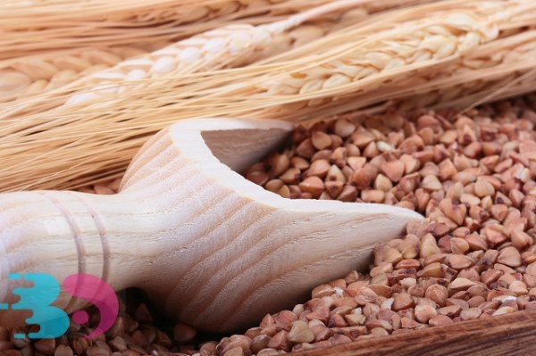 食用荞面的营养价值是什么