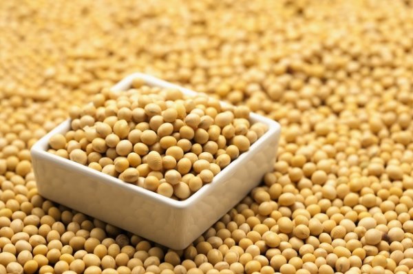 人造肉食用前如何泡发
