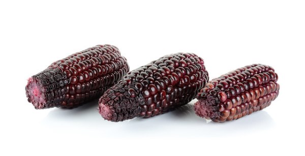 紫玉米可以放心食用吗