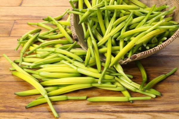 黄花菜有毒吗?黄花菜中毒以后的早期症状