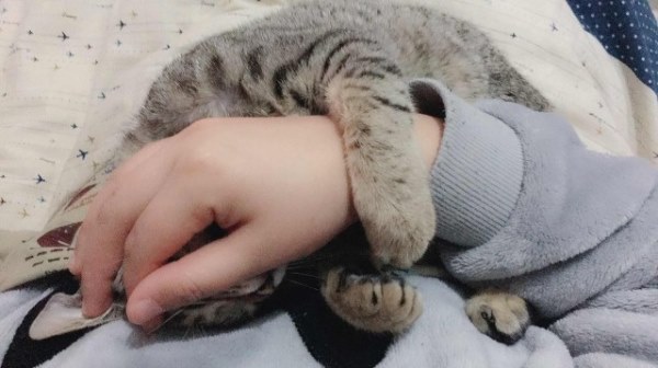 长期熬夜突然早睡第二天感冒了！