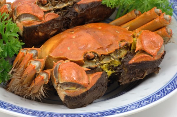蟹上宴席百味淡 大闸蟹的美味做法