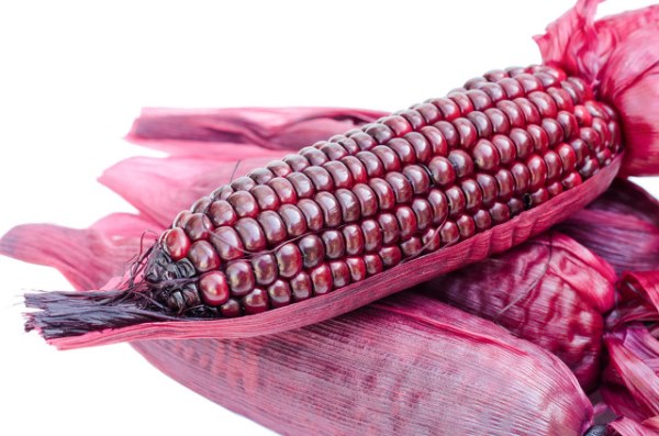紫玉米可以放心食用吗
