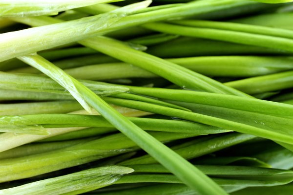吃韭菜有哪些功效和作用 小小韭菜用处竟这么大!