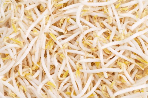 绿豆芽的食用功效以及方法有哪些