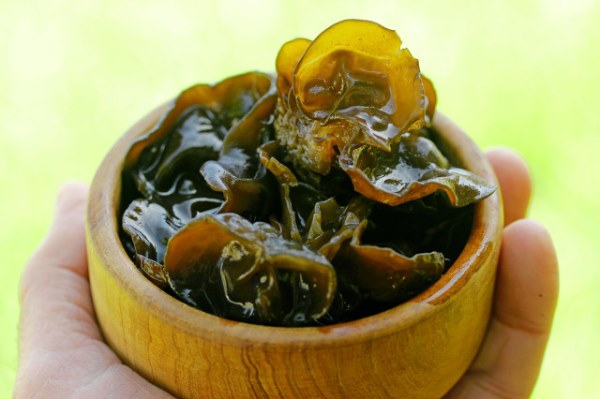 鹌鹑可以和和木耳搭配食用吗