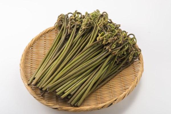 蕨菜排骨汤的功效与作用
