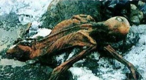 探秘十大最邪门古墓 世界十大无人敢动的古墓诡异至极