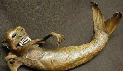 黑鳞鲛人活着的样子真恐怖 黑鳞鲛人被美国抓获还是活的