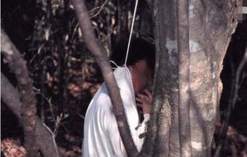 日本自杀森林之谜 上千人慕名前往自杀遍地尸骨/邪门至极