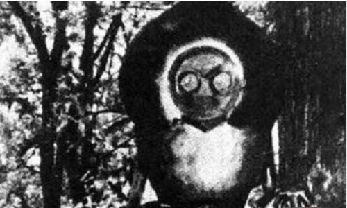 南非洲吃人怪物之谜 9人被不明生物吃掉脑浆怪物吃人