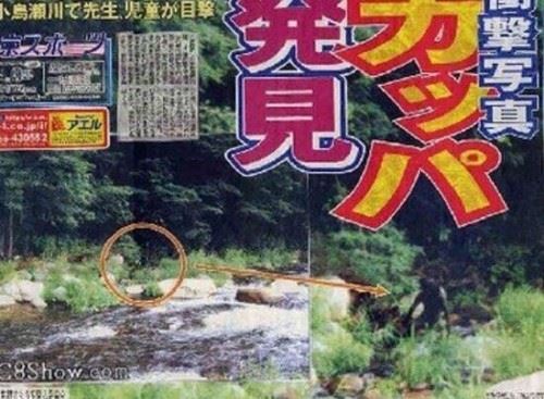 揭秘河童之谜 河童是什么生物头部似蛤蟆身体似儿童