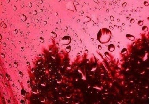 诡异的印度血雨从天而降 证实外星生物竟真实存在附图