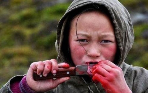 俄罗斯涅涅茨人是不是黄种人?涅涅茨人为什么吃生肉