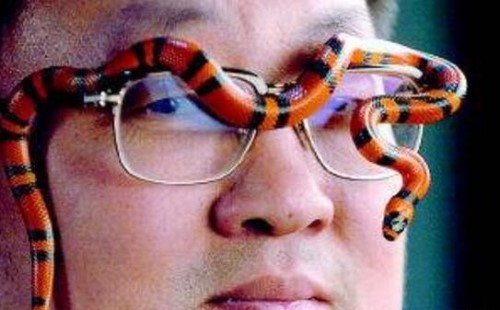 宠物牛奶蛇酷似剧毒珊瑚蛇 无毒有益不喝牛奶