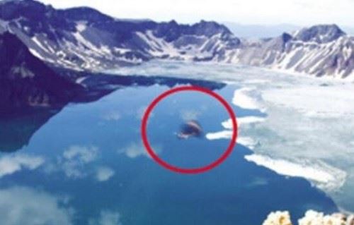 湛江湖光岩水怪之谜 湖底或存在一群龙鱼实为淡水鱼