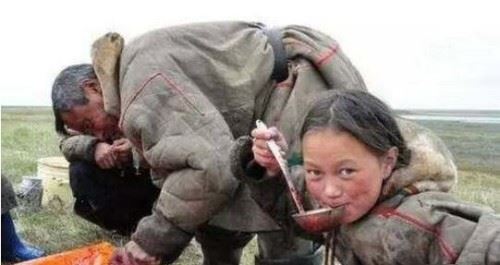 俄罗斯涅涅茨人是不是黄种人?涅涅茨人为什么吃生肉