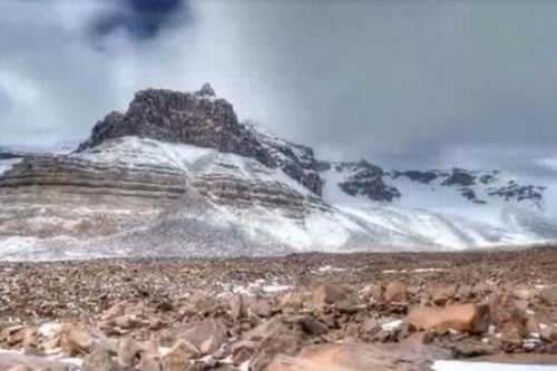 揭秘南极无雪干谷之谜 大量海豹骸骨无法解释自然现象