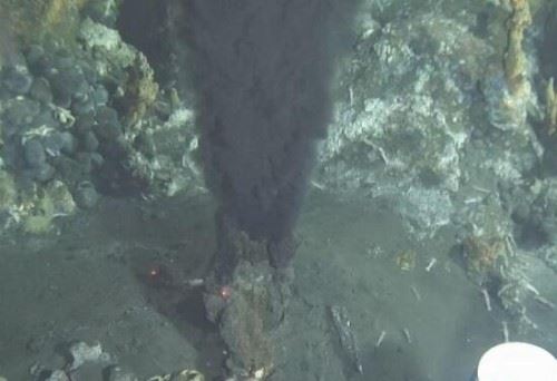 蛟龙号海底遇到了什么?蛟龙号竟然在深海拍到怪兽