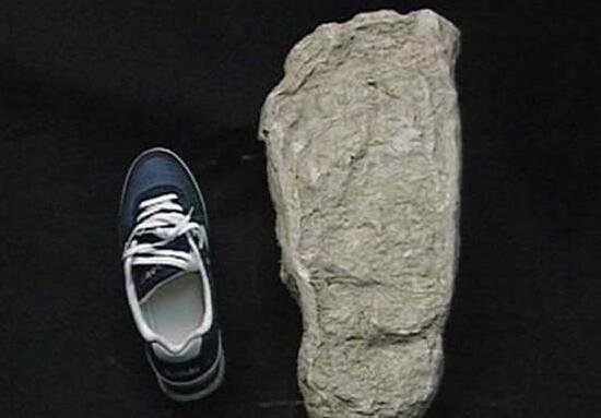 美国化石惊现两亿年前的脚印之谜 疑似两亿年前人类脚印