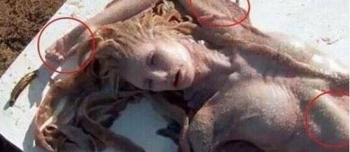 关于鲛人眼泪的传说 鲛人哭泣眼泪化为珍珠世间罕有