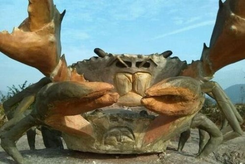 揭秘英国岸边神秘的巨型螃蟹 照片为PS网友恶搞