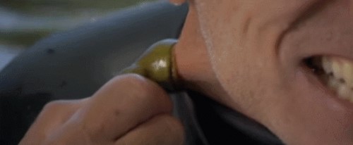 恐怖怪鱼北极七鳃鳗 嗜血刮肉的史前僵尸鱼恐怖组图