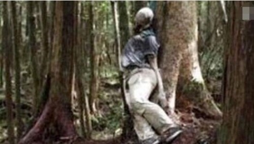 日本自杀森林之谜 上千人慕名前往自杀遍地尸骨/邪门至极