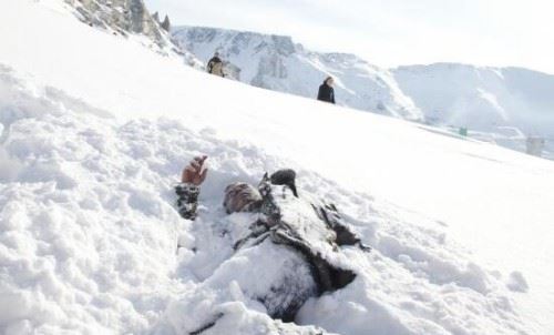 揭秘乌拉尔山永远的谜团 不明飞行物爆炸炸死9名登山学生