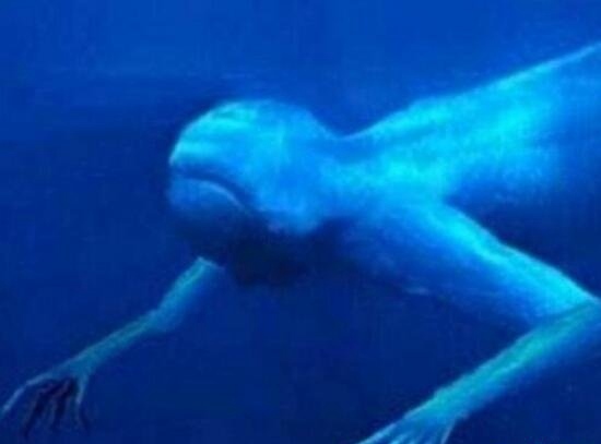 南非洲吃人怪物之谜 9人被不明生物吃掉脑浆怪物吃人