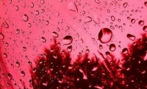 血雨