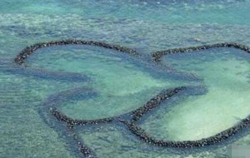 揭秘台湾澎湖海底发现远古文明 一万年前古城来历不明
