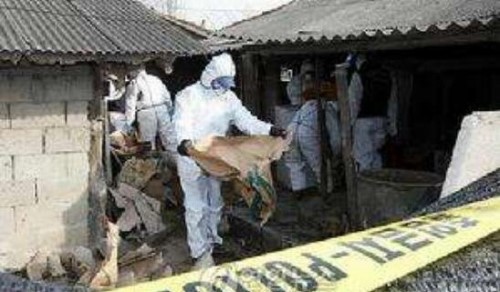 韩国三大未解谜案 青蛙少年失踪案警方敷衍破案隐瞒真相