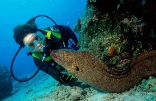 海底一万米有哪些生物？海底一万米恐怖生物图片曝光