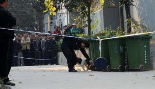 哈尔滨碎尸案 主犯杨树彬将十名小姐被绞成肉末