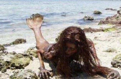 世界上最漂亮的美人鱼 海底真正美人鱼的照片曝光
