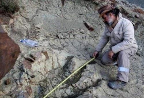 肯尼亚惊现150万年前脚印 科学证实是史前人类的脚印