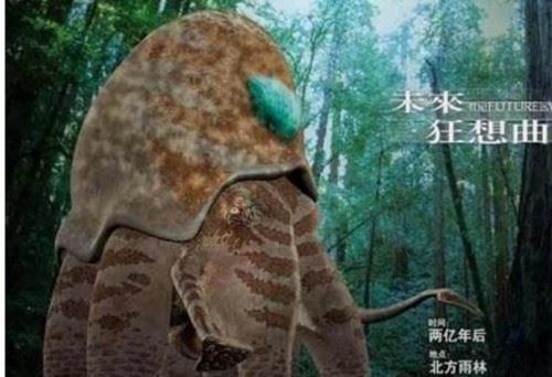 大王陆鱿