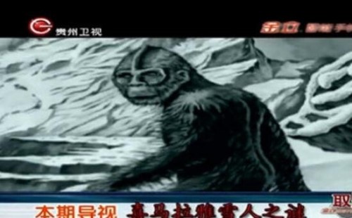 喜马拉雅山雪人之谜 全身灰黄色的毛半人半猿生物