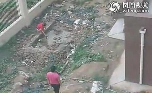 北京男女水坑虐猫事件 多次举起猫往水坑里摔残忍至极
