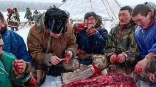 俄罗斯涅涅茨人是不是黄种人?涅涅茨人为什么吃生肉
