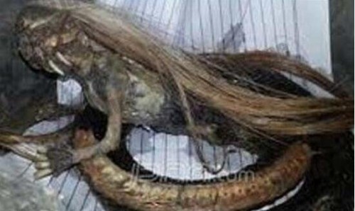 南非洲吃人怪物之谜 9人被不明生物吃掉脑浆怪物吃人